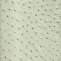 avestruz-blanco