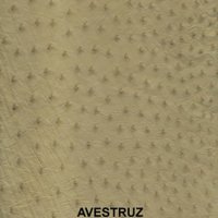 avestruzarena