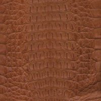 cocodrilobackcutcognac