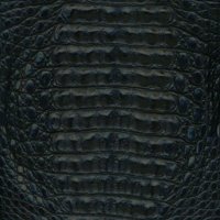 cocodrilobackcutnegro