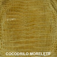 moreletticacahuate