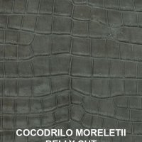 morelettigris