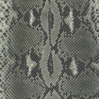 pitonbackcutnatural