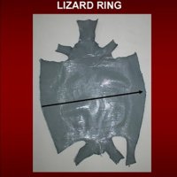 lizard-especificaciones