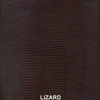 lizardcafe