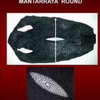mantarraya-round-especificaciones