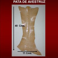 avestruz-pata-especificaciones
