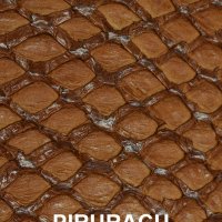 piruraku-miel