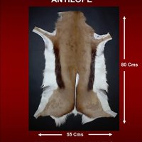 Antilope Especificaciones