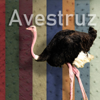Avestruz Completa