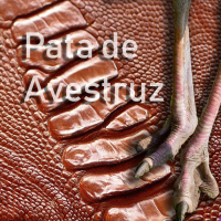 Pata de Avestruz