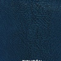 tiburon-azulelectrico