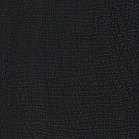 tiburonnegro